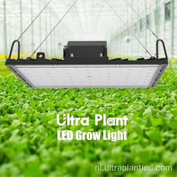 Dieprood 660nm LED-groeilicht voor bloei